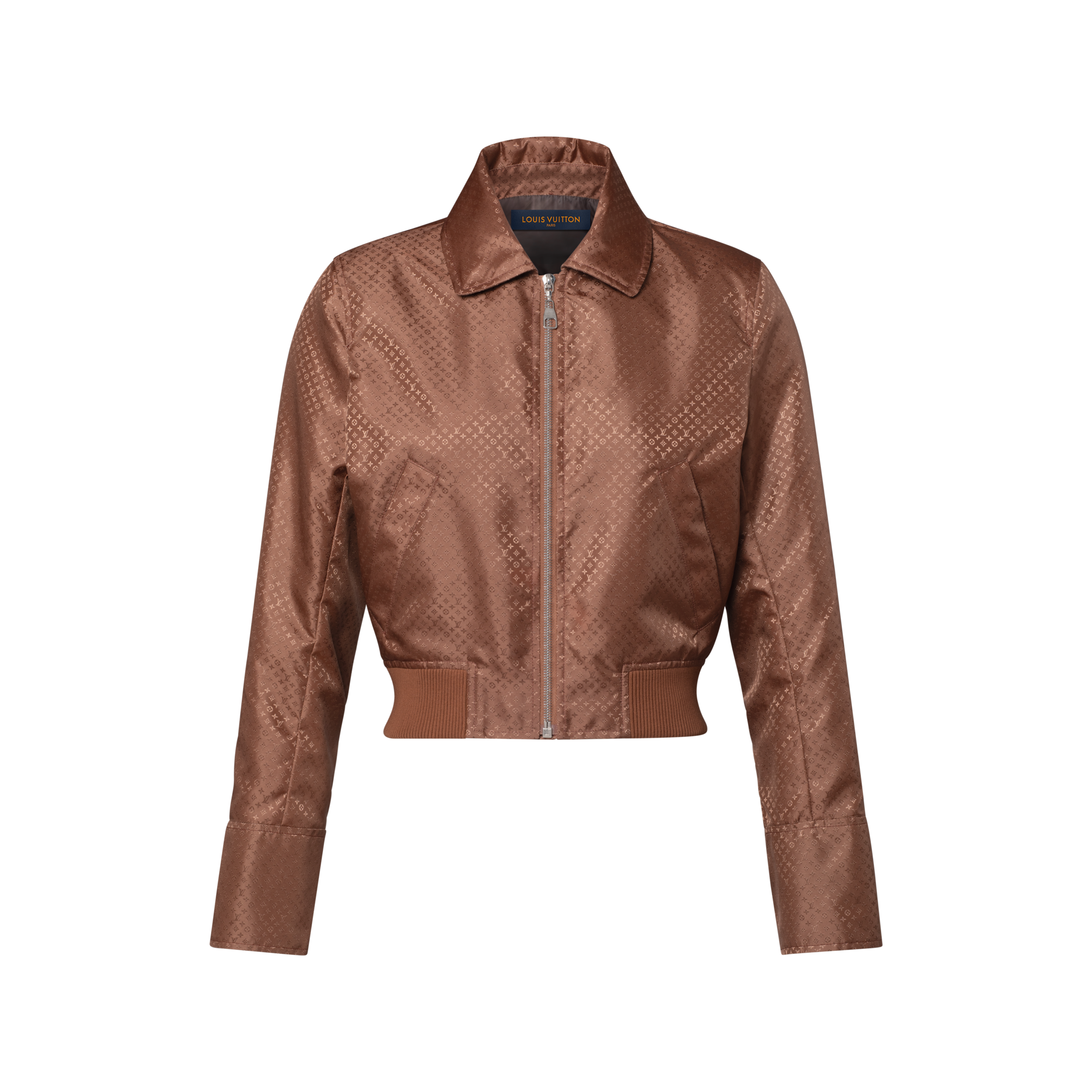Nanogram Bomber Jacket - Ready-to-Wear 1AKVZ8 | LOUIS VUITTON
